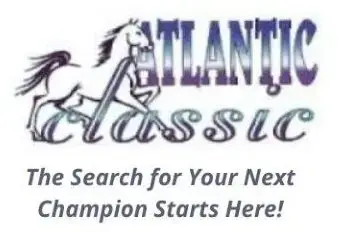 Atlantic Classic Yearling Sale